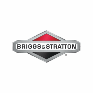 BRIGGS LOGO
